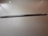 Front door glass trim molding