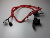 Other wiring loom