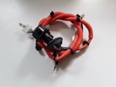 Other wiring loom