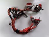 Other wiring loom