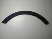 Fender trim (molding)