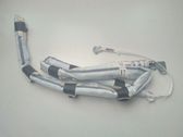Roof airbag
