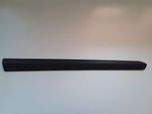 Listón embellecedor de la puerta delantera (moldura)