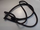 Front door rubber seal
