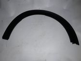 Fender trim (molding)