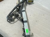 Other wiring loom
