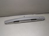 Trunk door license plate light bar
