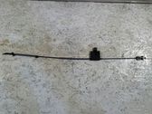 Rear door cable line