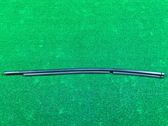 Rear door glass trim molding