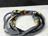 Other wiring loom