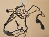 Rear door wiring loom