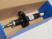 Front shock absorber with coil spring