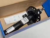 Front shock absorber with coil spring