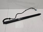 Tailgate/trunk strut/damper