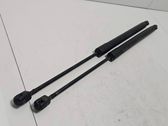 Tailgate/trunk strut/damper