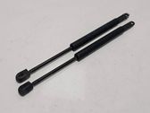 Front bonnet/hood damper/strut