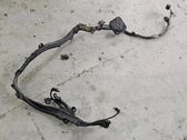 Other wiring loom