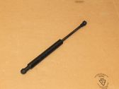 Front bonnet/hood damper/strut