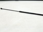 Front bonnet/hood damper/strut
