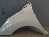 Fender