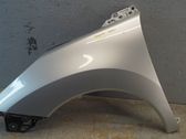 Fender