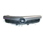 Front bumper lower grill