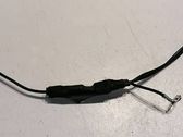 Other wiring loom