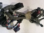 Front door wiring loom
