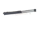 Tailgate/trunk strut/damper