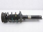Front shock absorber with coil spring
