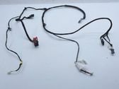 Other wiring loom