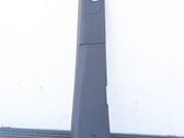 (D) pillar trim (bottom)