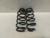 Rear coil spring