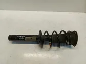 Front shock absorber/damper