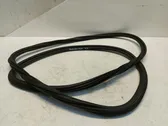 Front door rubber seal