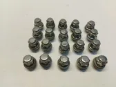 Nuts/bolts