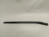 Windshield trim