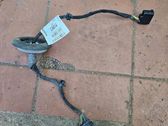 Other wiring loom