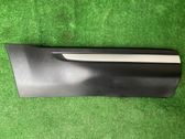 Listón embellecedor de la puerta delantera (moldura)