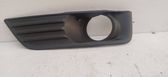 Front fog light trim/grill