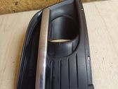 Front fog light trim/grill