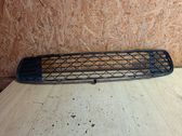 Front bumper lower grill