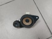 Panel speaker