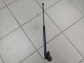 Tailgate/trunk strut/damper