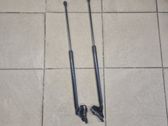 Tailgate/trunk strut/damper