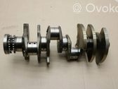 Vilebrequin du moteur