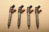 Fuel injectors set