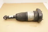 Air suspension rear shock absorber