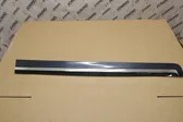 Front door trim (molding)