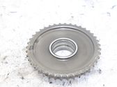 Цепная цепная звездочка